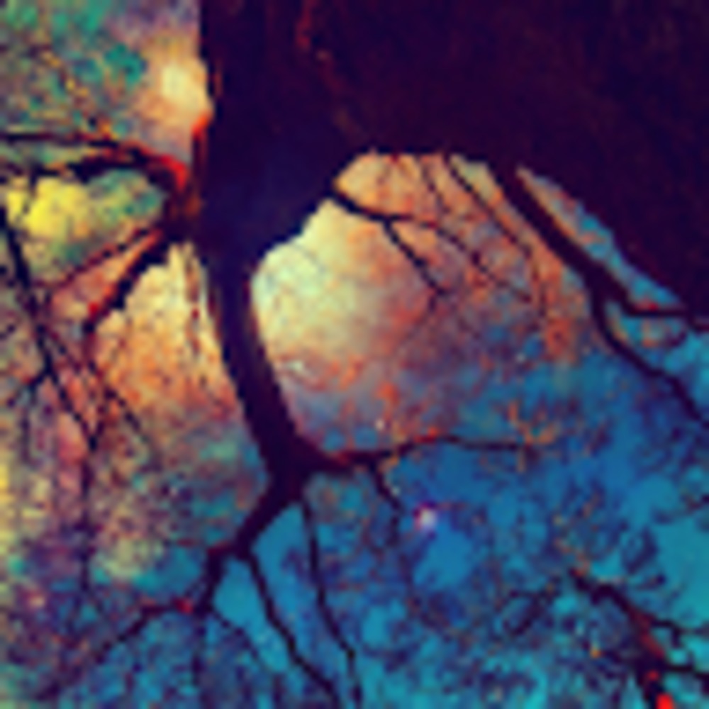 Meet your Posher, Shantelle